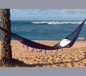 Purple Nylon Hammock