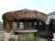 Palm Palapa