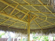 Two Pole Palm Palapa Underside