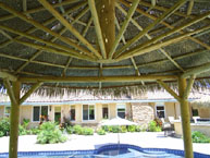 Palm Palapa